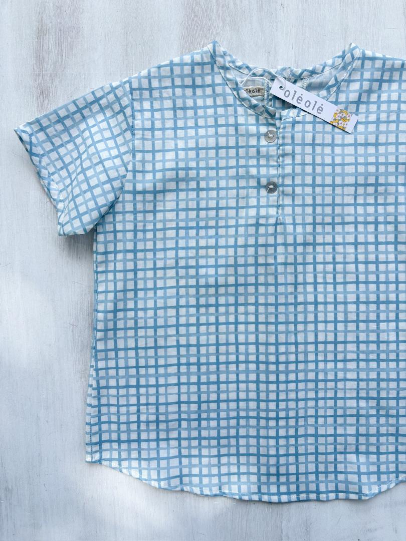 Camisa estampada varón cuadros azules