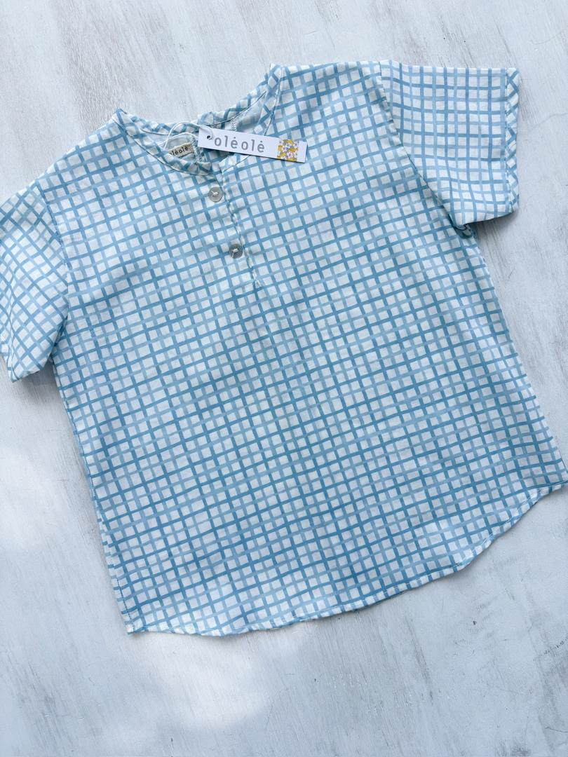 Camisa estampada varón cuadros azules